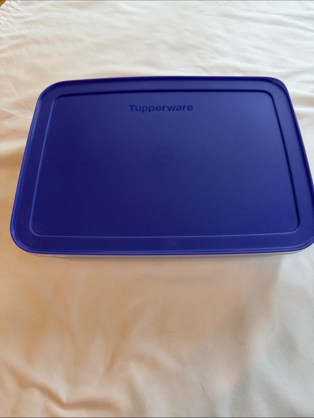 Tupperware freezer container. (Large) 9 3/4 cup